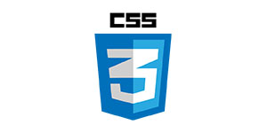 css3